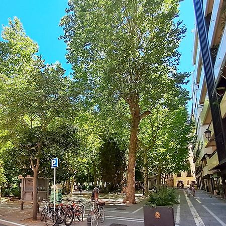 ApartaSuite Deluxe Centro Histórico Ático tranquilo con terrazas a pie de calle Granada Exterior foto
