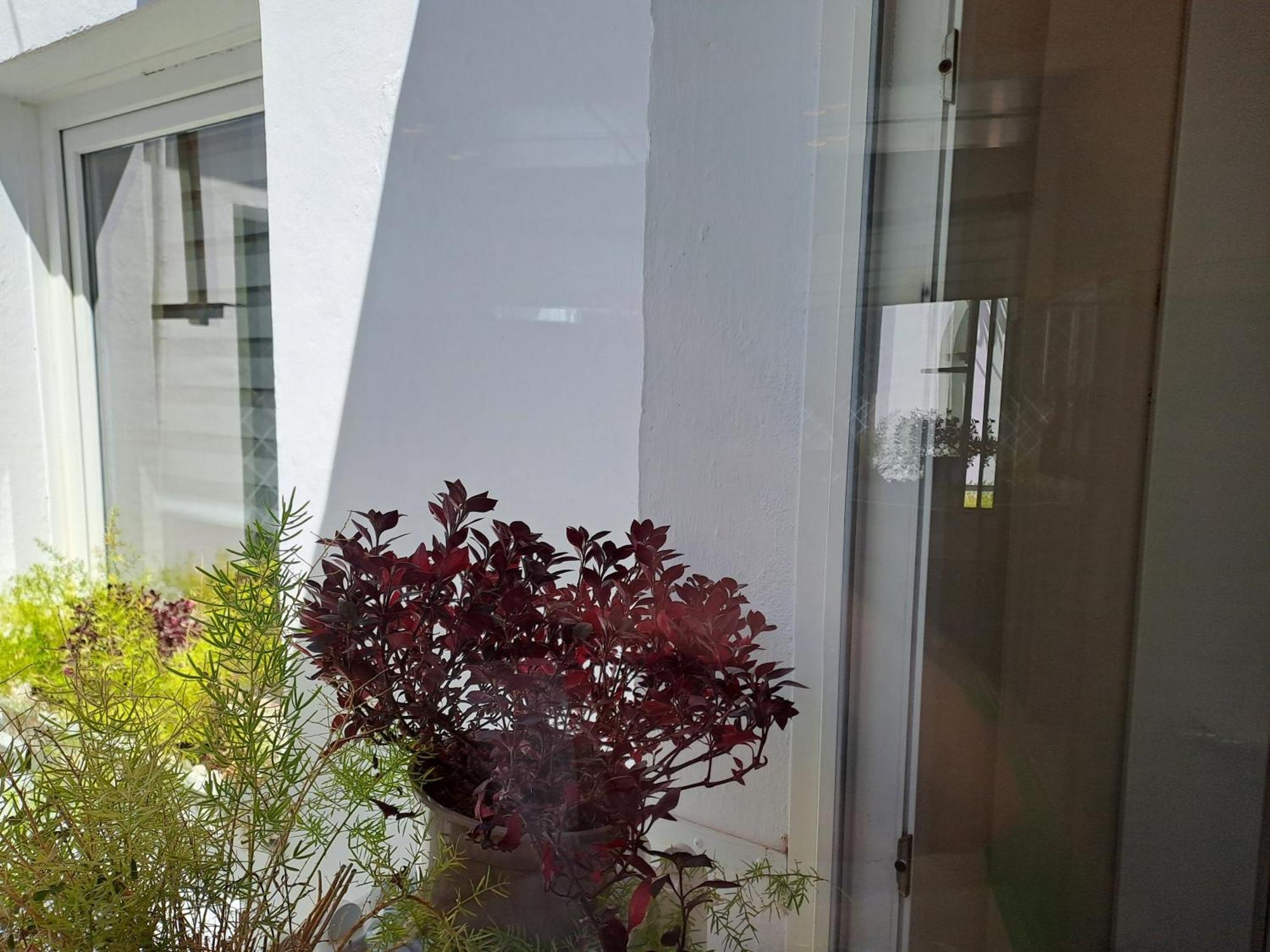 ApartaSuite Deluxe Centro Histórico Ático tranquilo con terrazas a pie de calle Granada Exterior foto